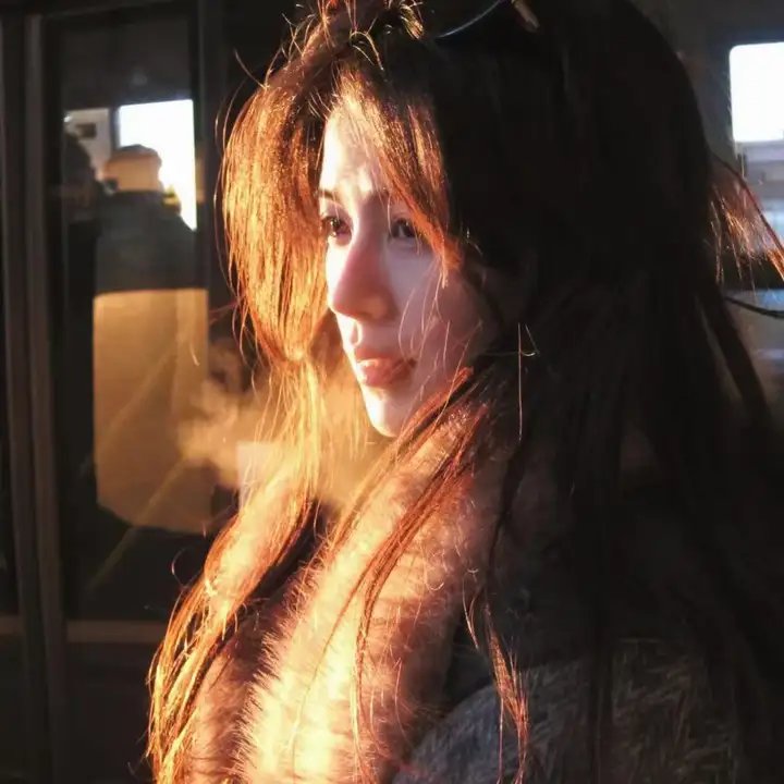 第五区的女人